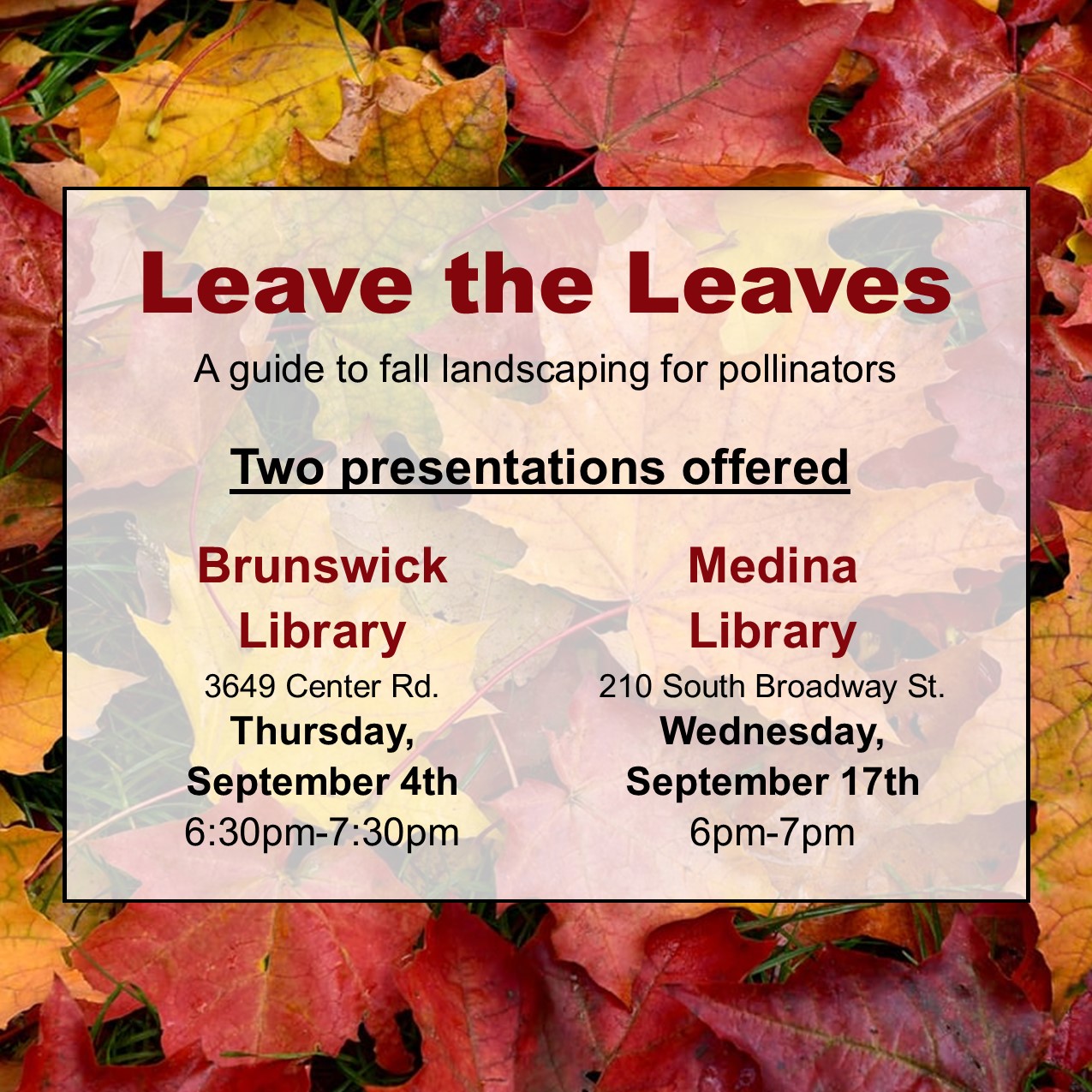 Leave the leaves